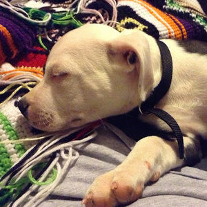 Meet your Posher, Caitlyn